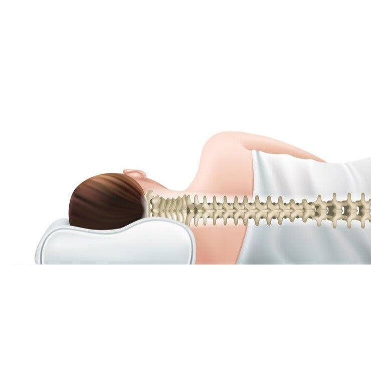 Almohada viscoelástica de aloe vera