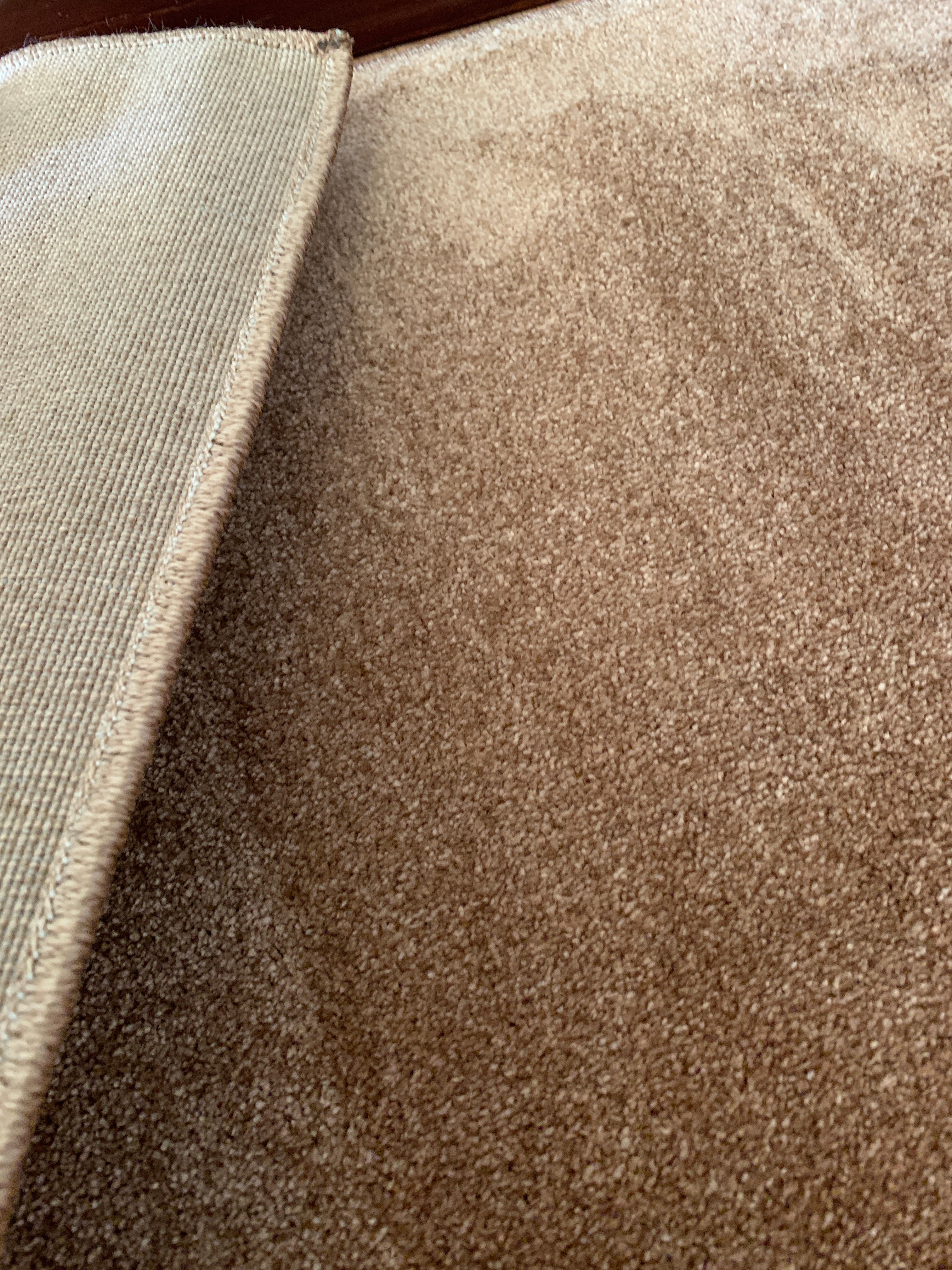 Tapete Liso Pelo Baixo Camel - Verona